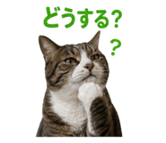 845481349