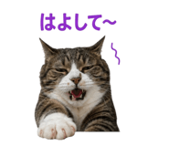 845481350