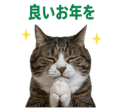845481352