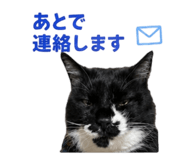 845481355