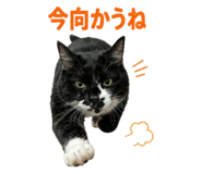 845481358