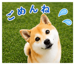 845481571