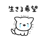 845482553