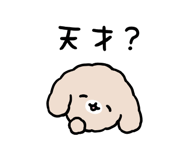 845482555