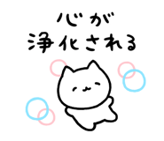 845482578