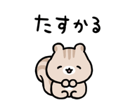 845482584