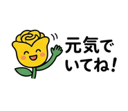 845485087