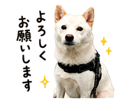 845485257
