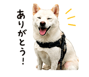 845485259