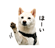 845485262