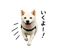 845485267