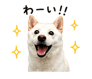 845485270