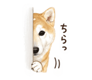 845487462