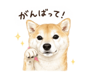 845487467