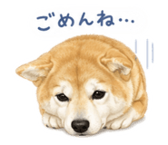 845487468
