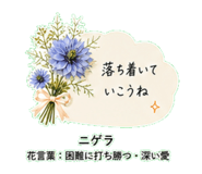 845488020