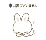 845490556