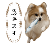 845490901