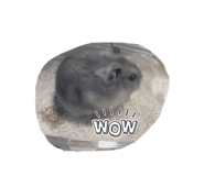 845491111