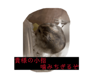 845491117