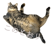 845491700