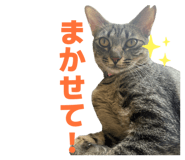 845491707