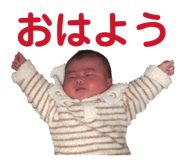 845491809