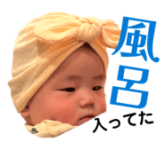 845491815