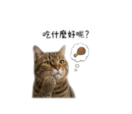 845492743
