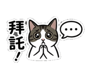 845493325