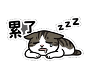 845493333