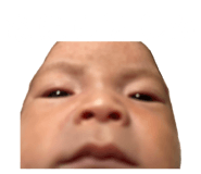 845493654