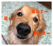 845493985