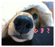 845493987