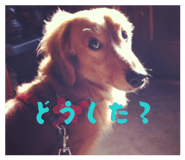 845493989