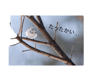 845493995