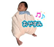845494164