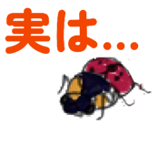 845494202