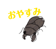 845494203