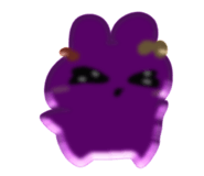 845495531