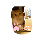 845496104