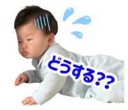 845496172