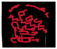 845496257