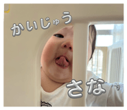 845496293