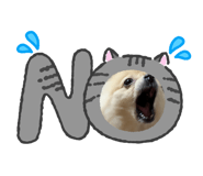 845496788