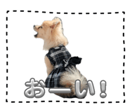 845496790