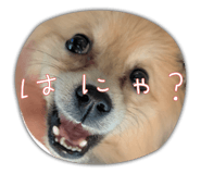 845496804