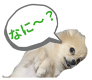 845496808