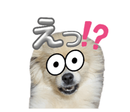 845496813