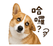 845497879